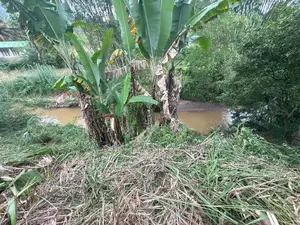 Land for Sale Bandarawela