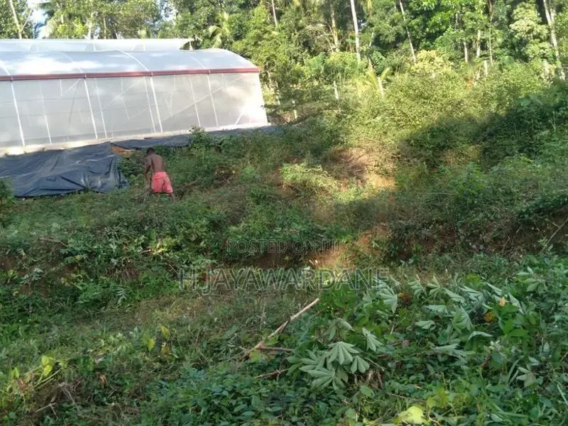 Land with 9000sqft Polytunnel Project, 7 Km to Ahangama Juntion