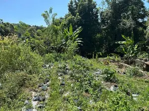 Land with 9000sqft Polytunnel Project, 7 Km to Ahangama Juntion