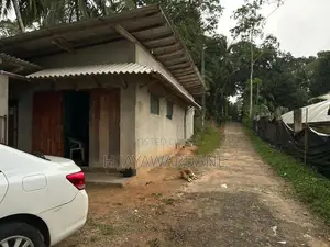 Land with 9000sqft Polytunnel Project, 7 Km to Ahangama Juntion