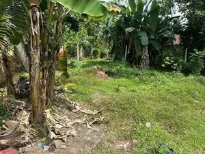 Polwatta River Facing Land for Sale Weligama