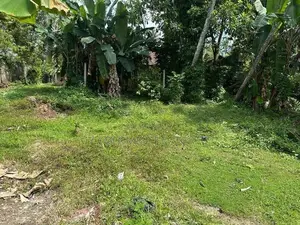 Polwatta River Facing Land for Sale Weligama