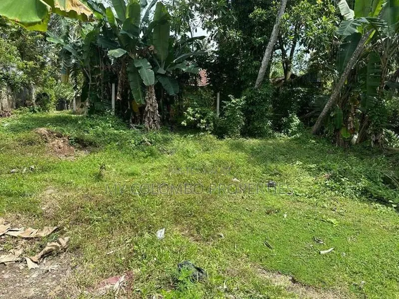Polwatta River Facing Land for Sale Weligama