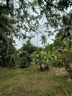 Land for Sale Negombo