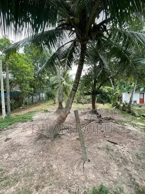Land for Sale Negombo