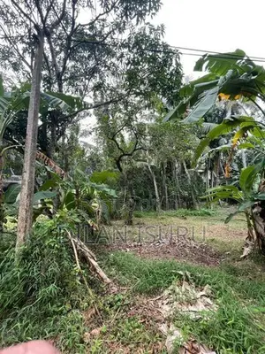Land for Sale Negombo