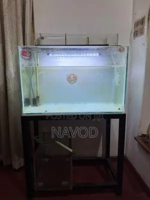 Full Fish Tank Setup