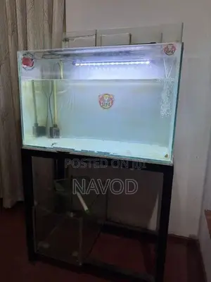 Full Fish Tank Setup