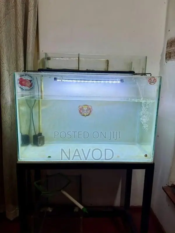 Full Fish Tank Setup