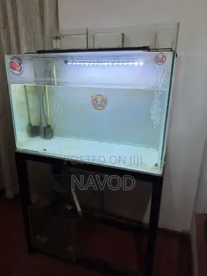 Full Fish Tank Setup