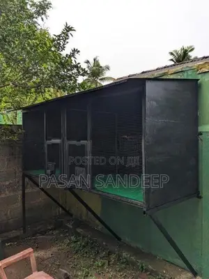 Bird Cage