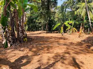 Alawwa - 20 Perches Land for Sale (SSPL-403)