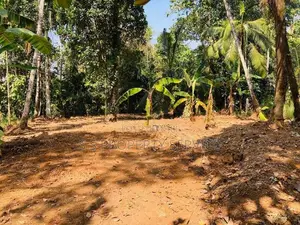 Alawwa - 20 Perches Land for Sale (SSPL-403)