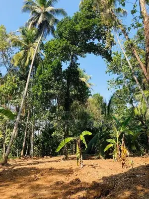 Alawwa - 20 Perches Land for Sale (SSPL-403)