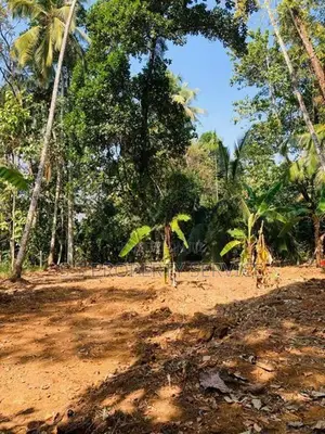 Alawwa - 20 Perches Land for Sale (SSPL-403)