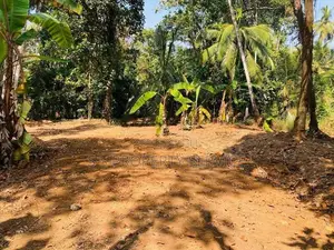 Alawwa - 20 Perches Land for Sale (SSPL-403)