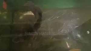 Jam Gurami Fish