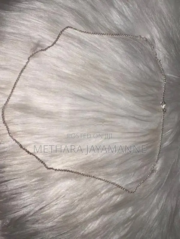 Pandora Rolo Chain Necklace