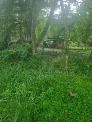 Valuable Bare Land for Sale – Narammala, Kurunegala
