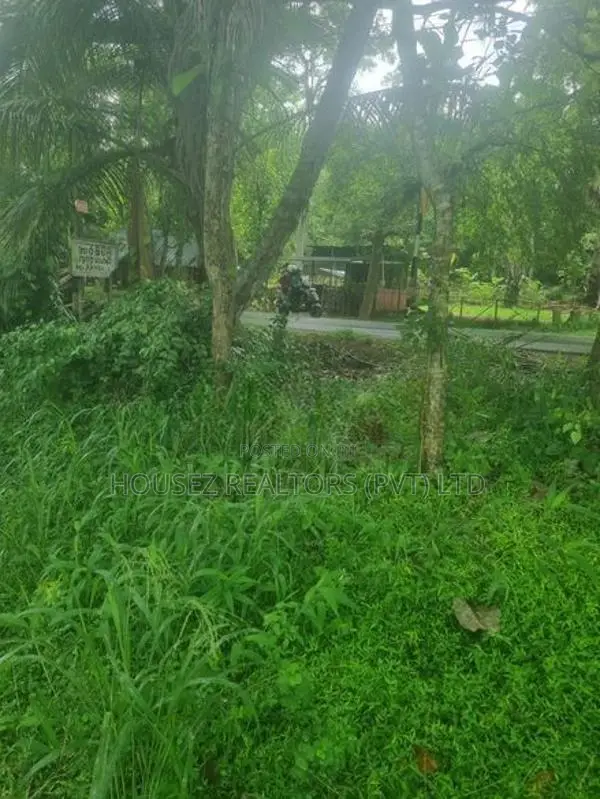 Valuable Bare Land for Sale – Narammala, Kurunegala