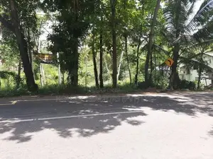 Valuable Bare Land for Sale – Narammala, Kurunegala