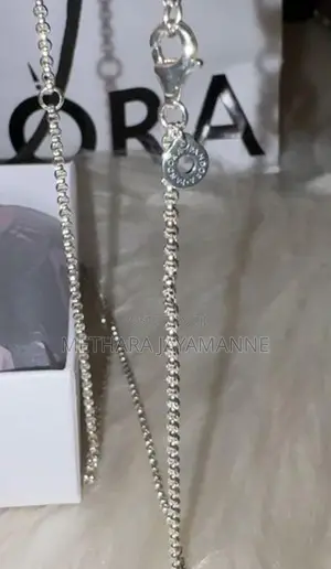 Pandora Rolo Chain Necklace