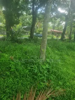 Valuable Bare Land for Sale – Narammala, Kurunegala