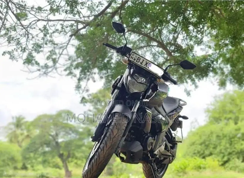 Yamaha FZS V3 2019