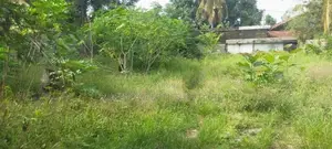Katunayaka | Land For Sale 10 Perches