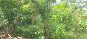 Katunayaka | Land For Sale 10 Perches