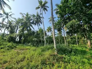 Land for Sale in Minuwangoda