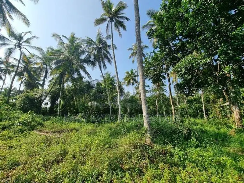 Land for Sale in Minuwangoda