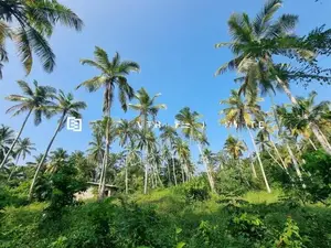 Land for Sale in Minuwangoda