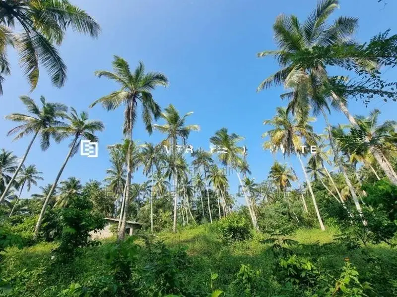 Land for Sale in Minuwangoda