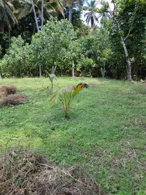 Land for Sale in Udugampola