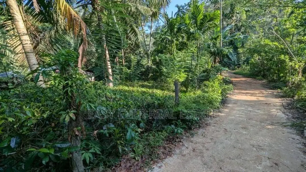 අත්තනගලු ඔයට මායිම්ව තේ පොල් වගාව සහිත වටිනා ඉඩම විකිණීමට