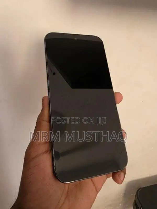Google Pixel 9 Pro XL (Used)
