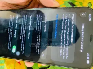 Apple iPhone 12 Pro Max (Used)
