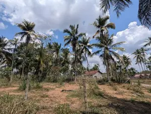 Land for Sale in Mirigama