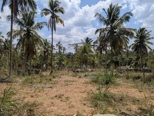 Land for Sale in Mirigama