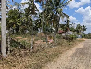 Land for Sale in Mirigama