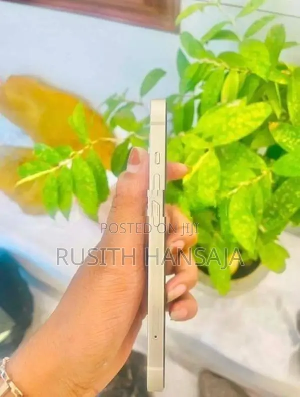 Apple iPhone 13 (Used)