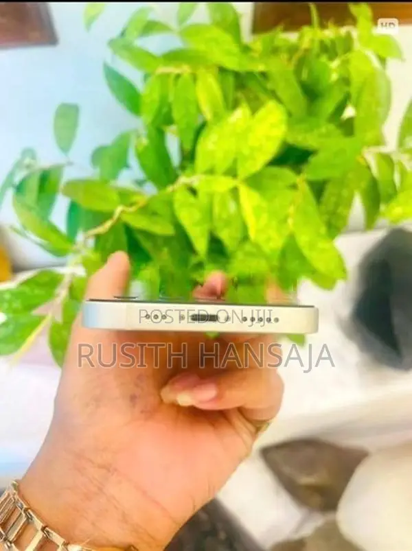 Apple iPhone 13 (Used)