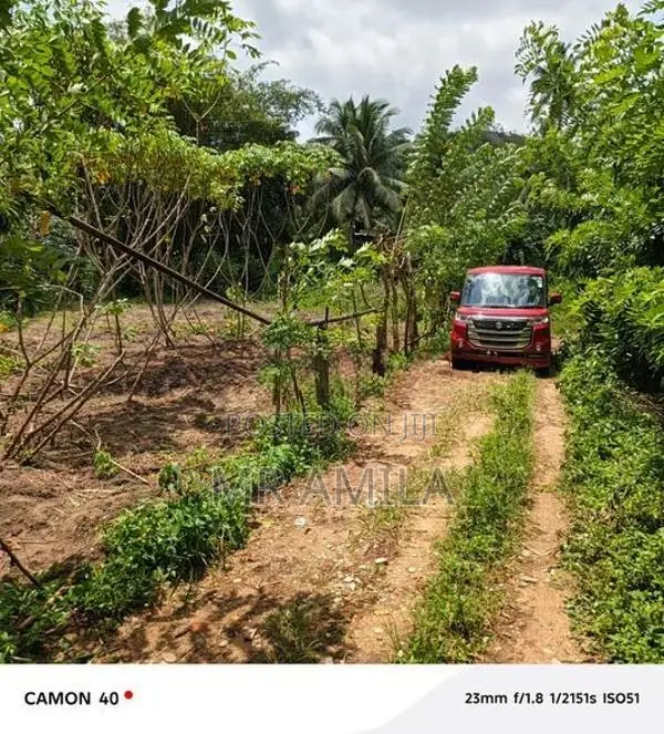 Land for Sale in Mahena ( Horana)