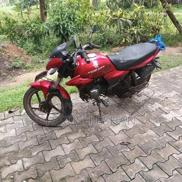 Bajaj XCD 125 2008