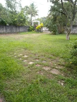 Land for Sale in Katubedda
