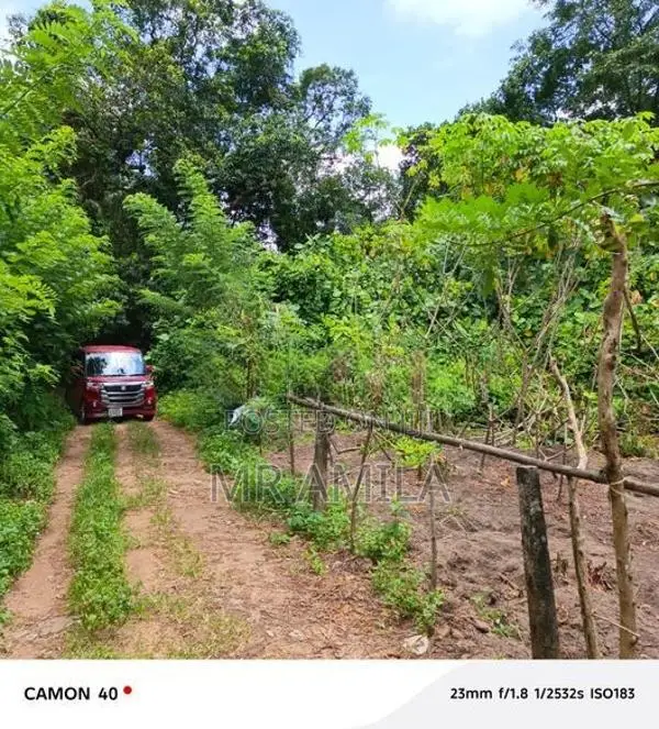 Land for Sale in Mahena ( Horana)
