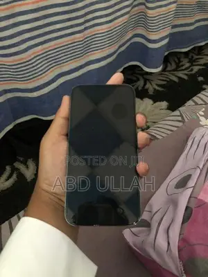 Apple iPhone 13 Pro Max (Used)