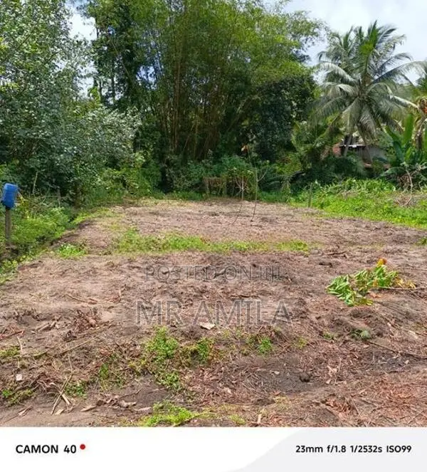 Land for Sale in Mahena ( Horana)