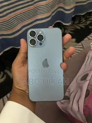 Apple iPhone 13 Pro Max (Used)
